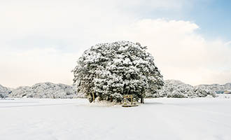 鳥取県南部町 雪の客神社