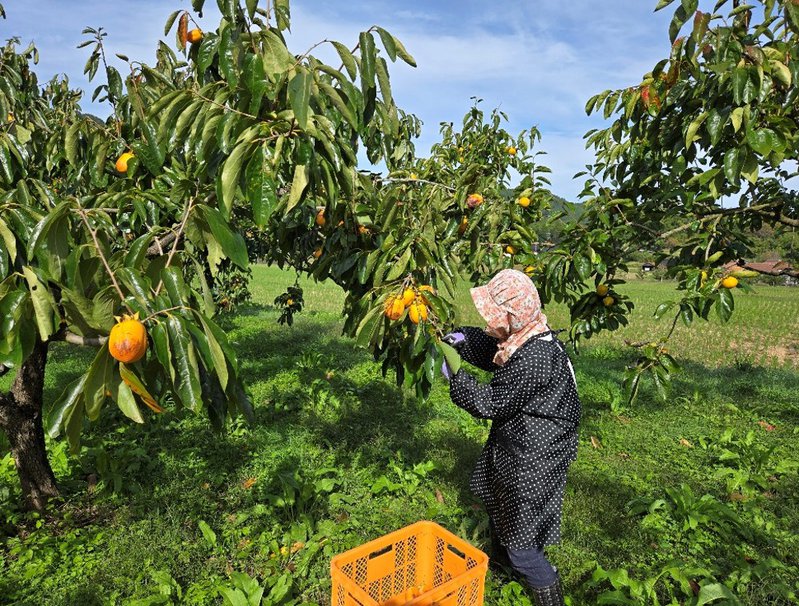生活環境イメージ
