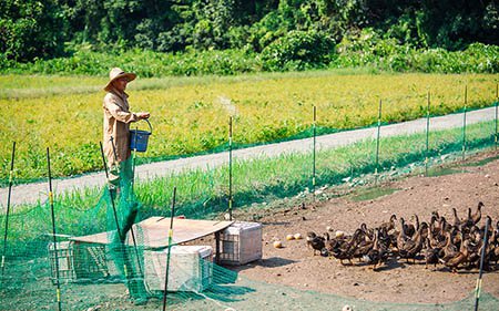 鳥取県南部町　なんぶ里山デザイン機構 移住定住の方の職探しをサポートしています