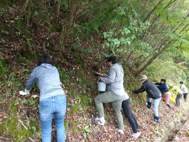 苔玉作り講座～苔、植物を採取からスタート～