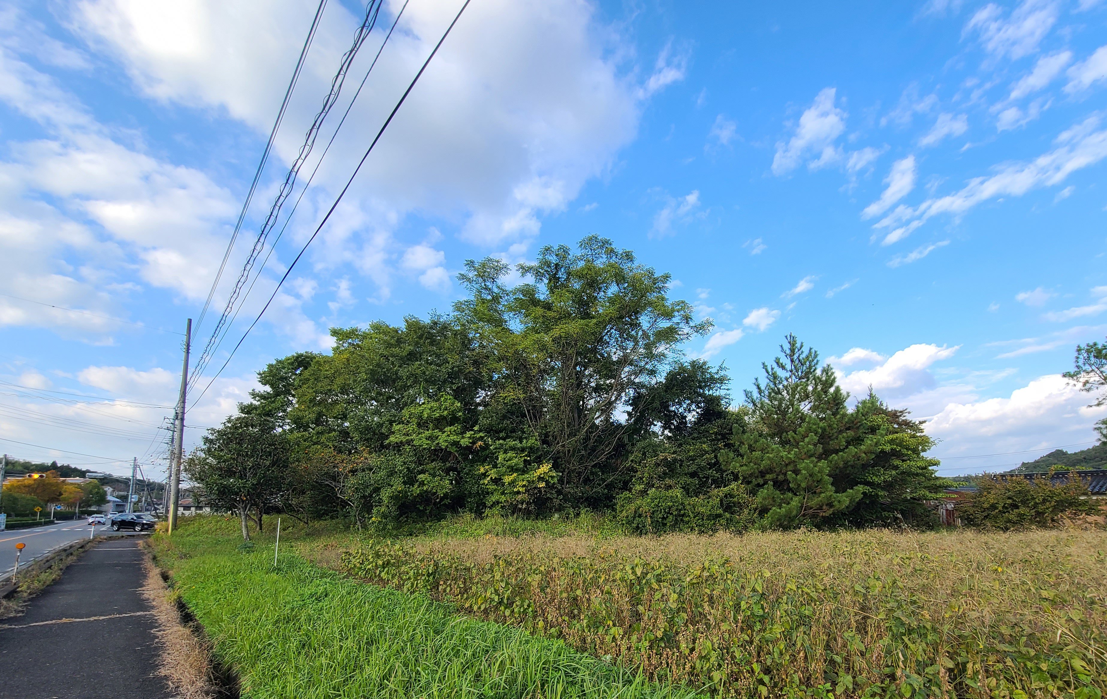 道路から裏側.jpg